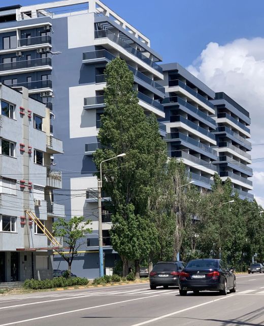 GooApartments Seven Mamaia