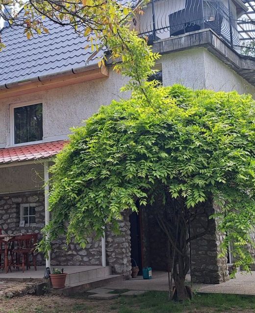 Zazen Apartman Bélapátfalva