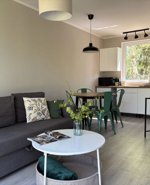 Dzika Brzoza Apartamenty Dwupoziomowe Rusinowo