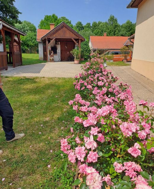 Fényesfelde Apartman Lendvajakabfa