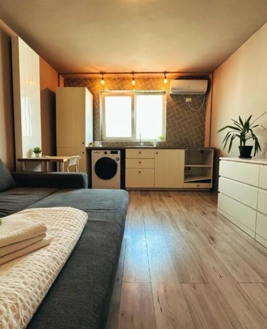 Apartment NEO Trei Cosy Studio Timișoara