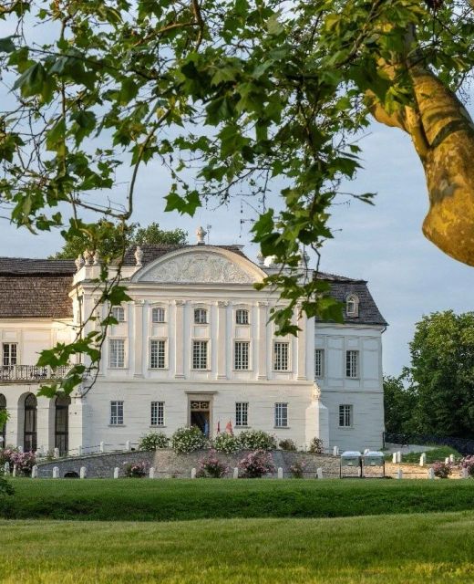 Pałac Popielów 