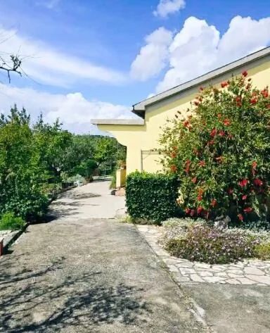 House Solis Palit