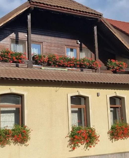 Vila Munich Residence Cristian