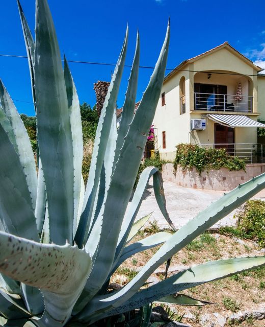 Apartments With Parking Space Sali, Dugi Otok - 24032 Sali