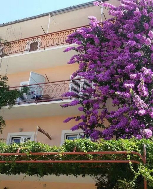 Apartments With Parking Space Makarska - 24071