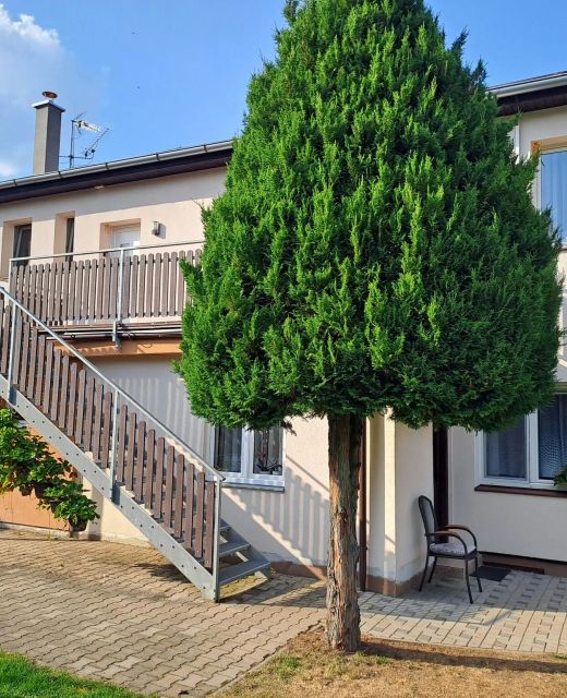 H apartmán Jankov