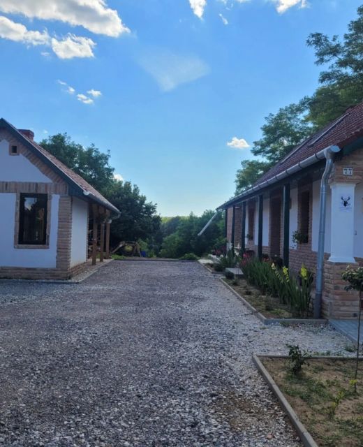 Ráksi Sajtos Vendégház 