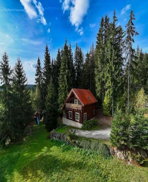 Forest Home Relax Borzont