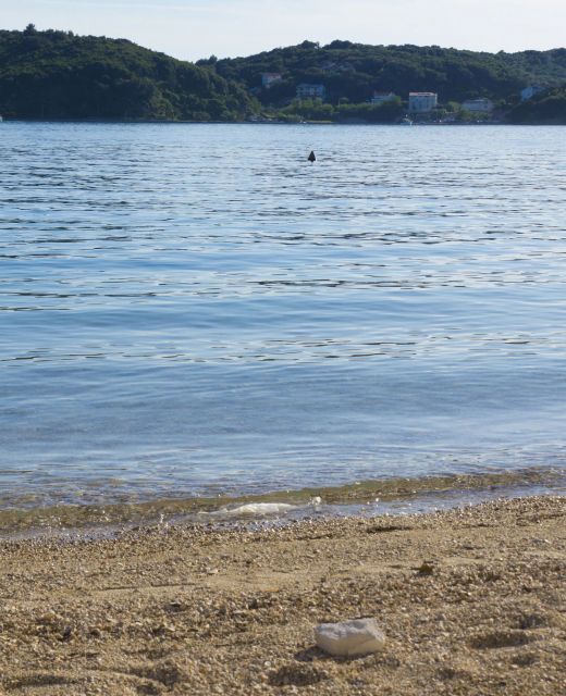 Apartments Hari Supetarska Draga