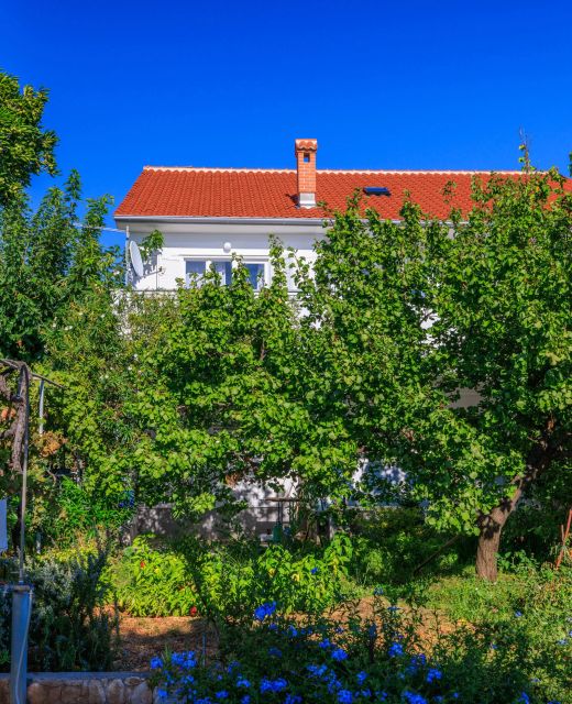 Apartments Ivica Barbat
