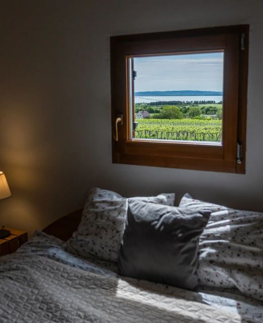 Tagyon Birtok Kései Szüret Apartmanház Tagyonhegy
