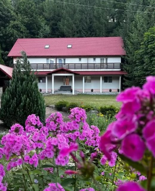 Vacation Villa Sucevița