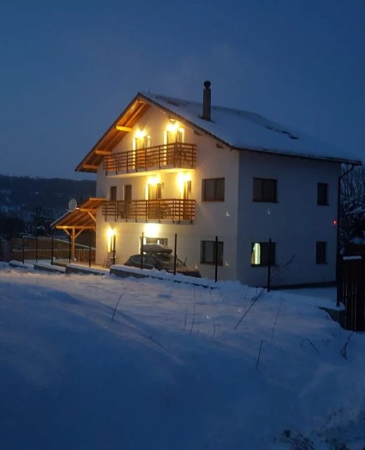 Green Hill Transilvanya Guesthouse Fântânele