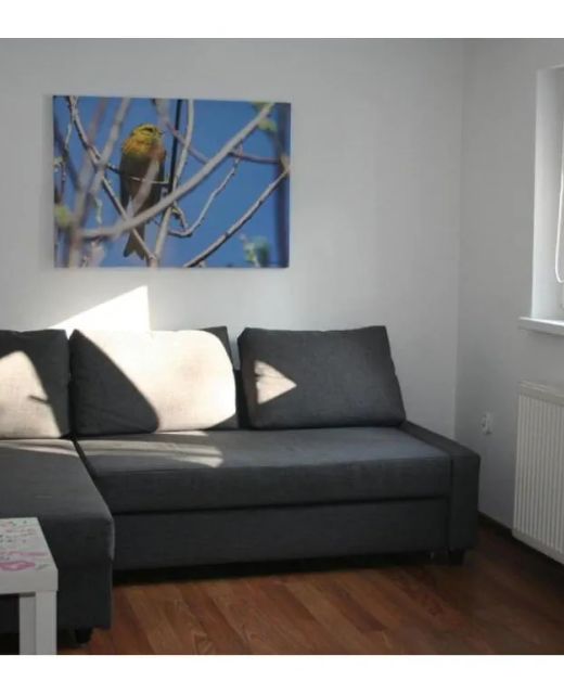 Apartament u Sikorek Jelenia Góra