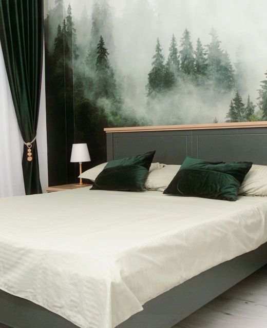IBA Apartment Buşteni