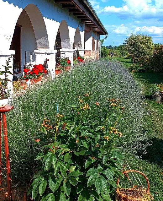 Villa Negra Vendègház Balatonfőkajár