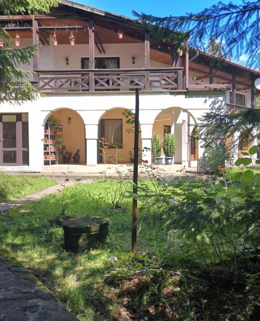 Vila Arcadia Suceviţa