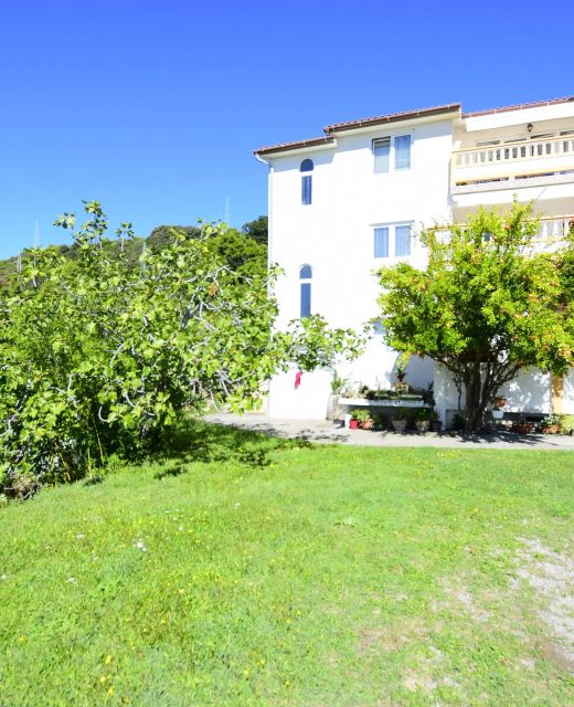 Apartments Rasic Palit