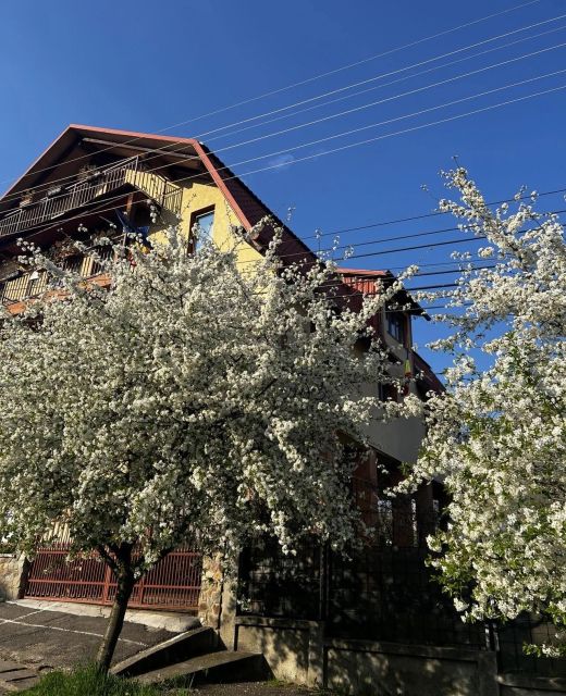  Camere de Inchiriat Spicului Cluj-Napoca