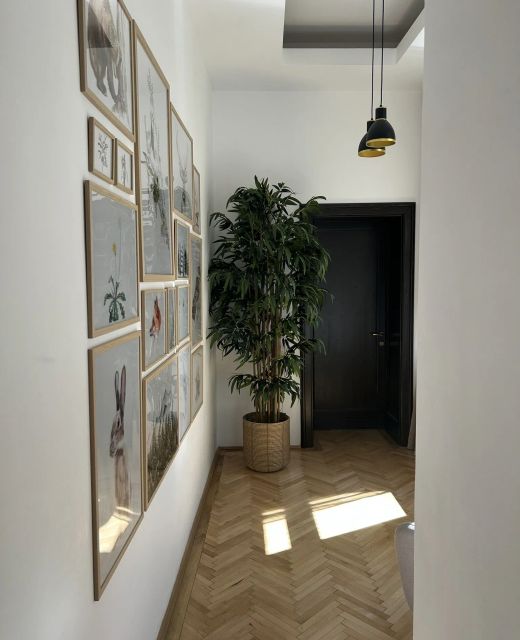Apartament Nature Inspired Stay in Piata Sfatului Brașov