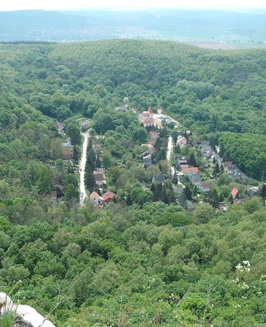 Szarvasbőgés a Klastromszirti Panoráma Vendégházban Kesztölc