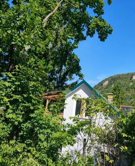 Szarvasbőgés a Klastromszirti Panoráma Vendégházban Kesztölc