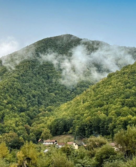 Eden Natural Resort Căpâlna