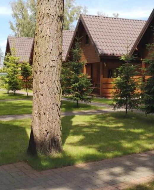 Domki  Osada nad  Dziwną 
