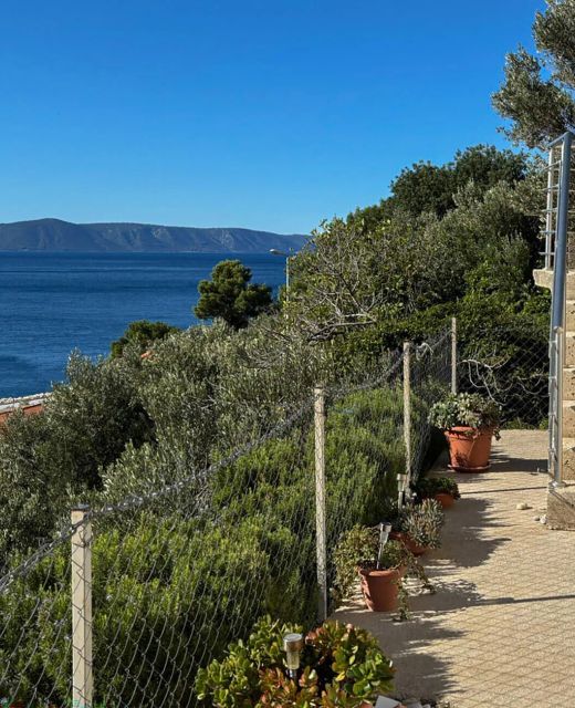 Apartman Podgora - CSD038