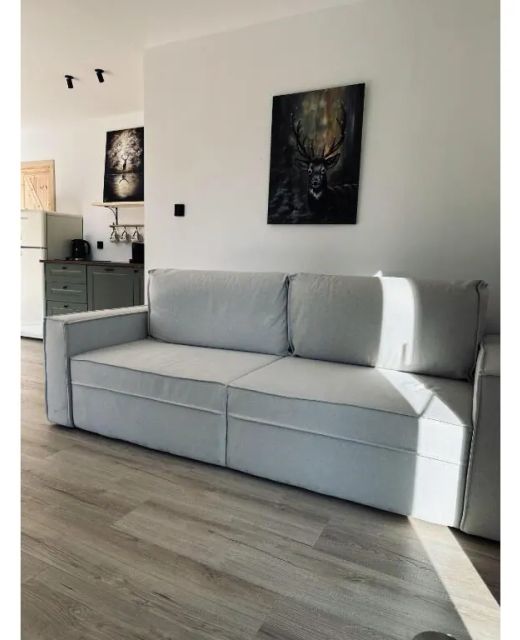 Apartamenty Brzegi Lasu Lipnica