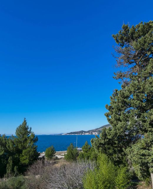 Apartments Pine and Sea Omis