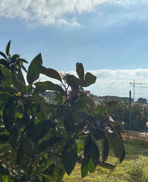 Apartman Zadar - CDY326
