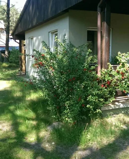 Domek Letniskowy Dębki