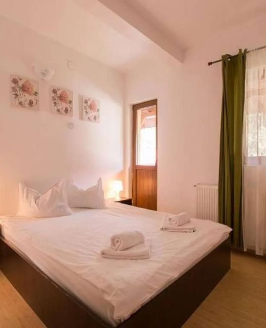 Amber`s Villa Buşteni