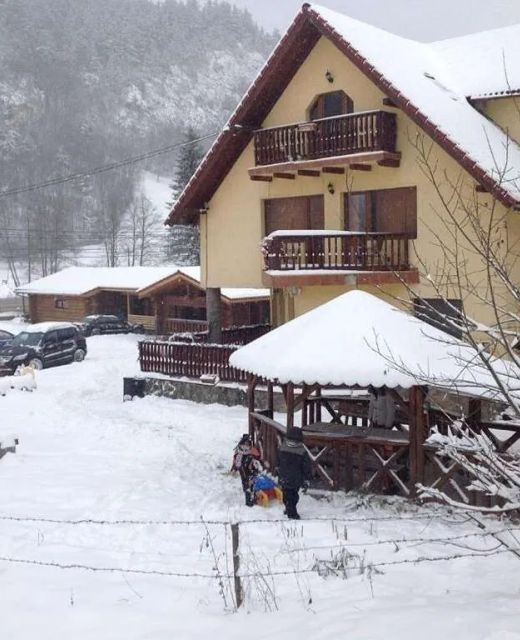 Vila Ianis Bran