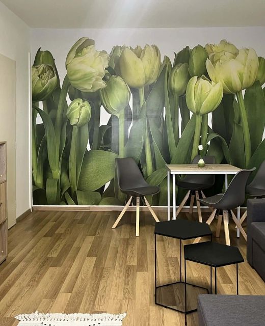 Green Harmony Apartman Pécs