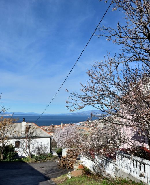 Apartment Sasa Senj