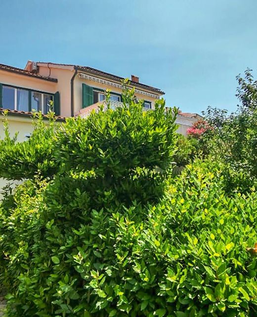 Apartman Barbat - CKR929