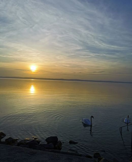 Leicht Apartman Siofok