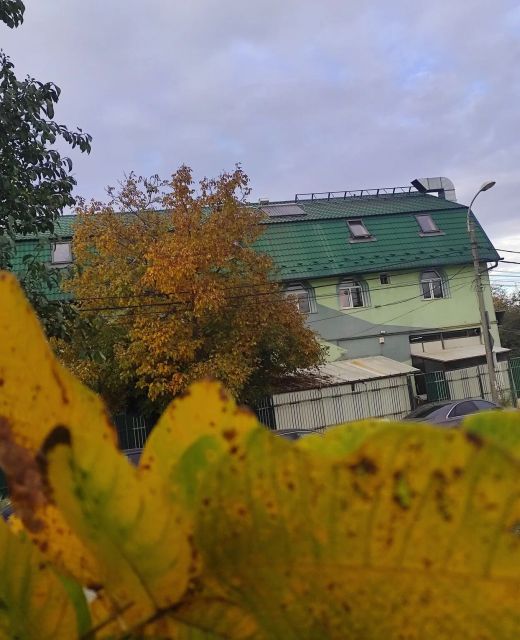 Vila Aviatorul Cluj-Napoca