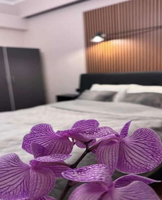 Apartament Comfort & Style Victoriei București
