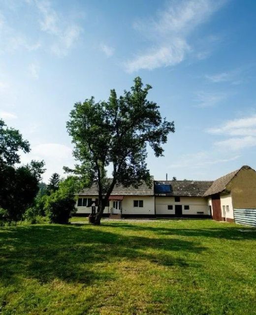 Casa Buzaiel 910 Vama Buzăului
