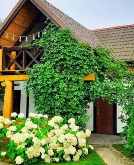 Domki Zielona Ostoja Czarna Dąbrówka