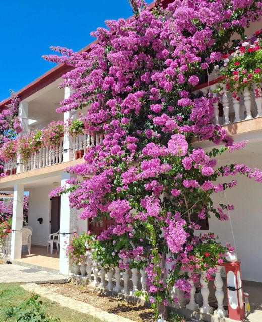 Apartments With Parking Space Privlaka, Zadar - 12985 Privlaka