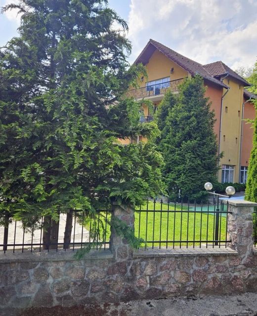 Pensiunea Raluca Moneasa