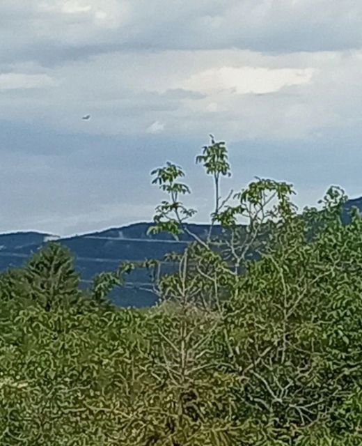 City View Eger