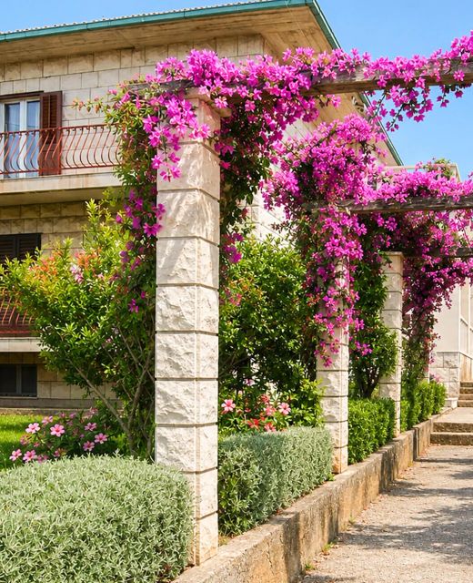 Apartman Supetar - CDB879