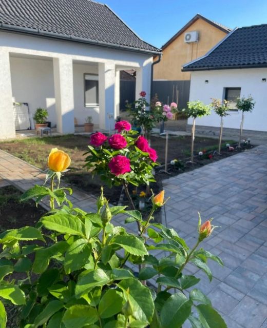 Rózsakert Apartman Gyula