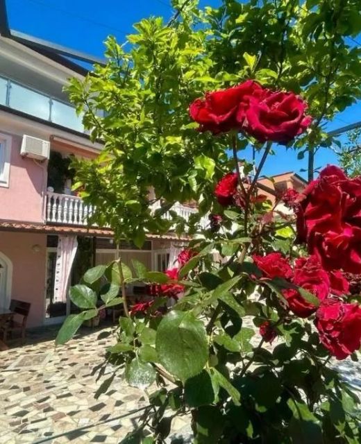 Apartments By The Sea Novigrad - 19130